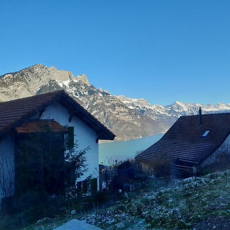 Apartment Panorama Am Walensee In Neubau-Villa Obstalden Екстериор снимка